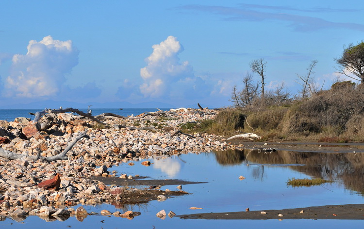 Da Alberese a Bocca d''Ombrone